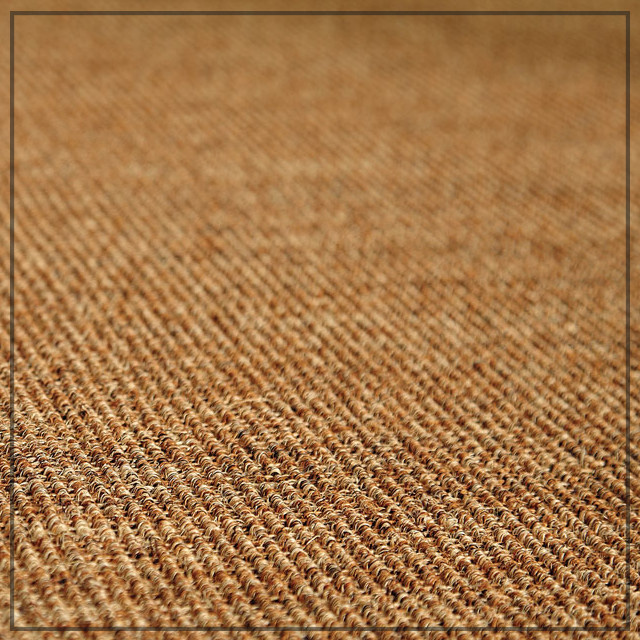 Sisal Rugs Image