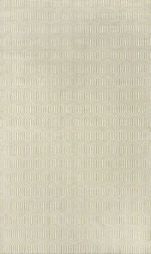 Modern Loom Newton NWT-1 Beige Hand Woven Synthetic Rug Product Image