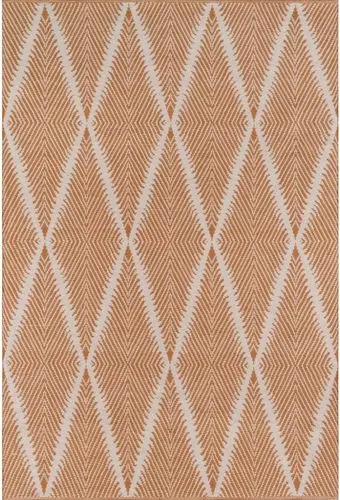 Modern Loom River RIV-1 Orange Rug Product Image