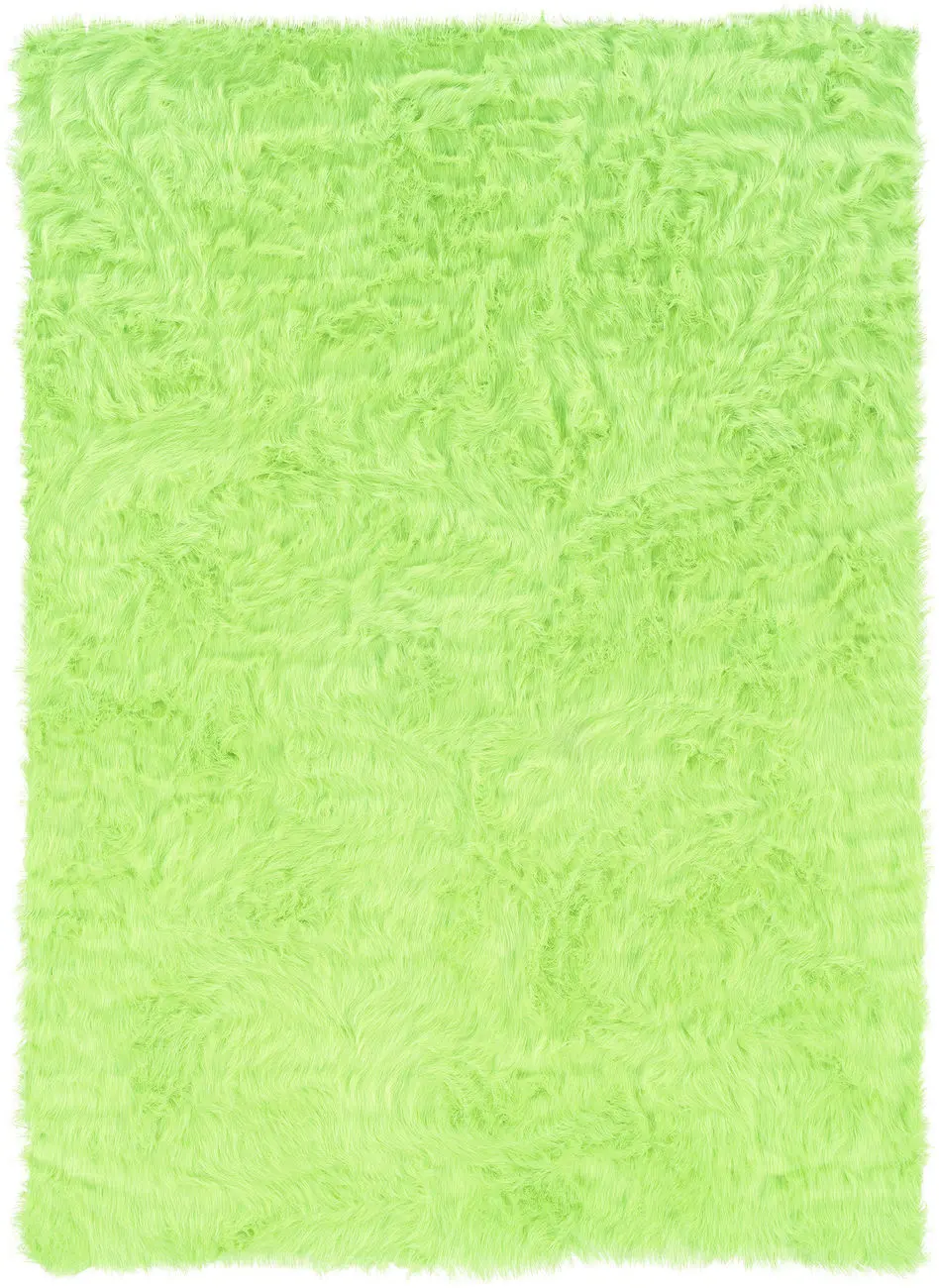 Linon Green Rug 4