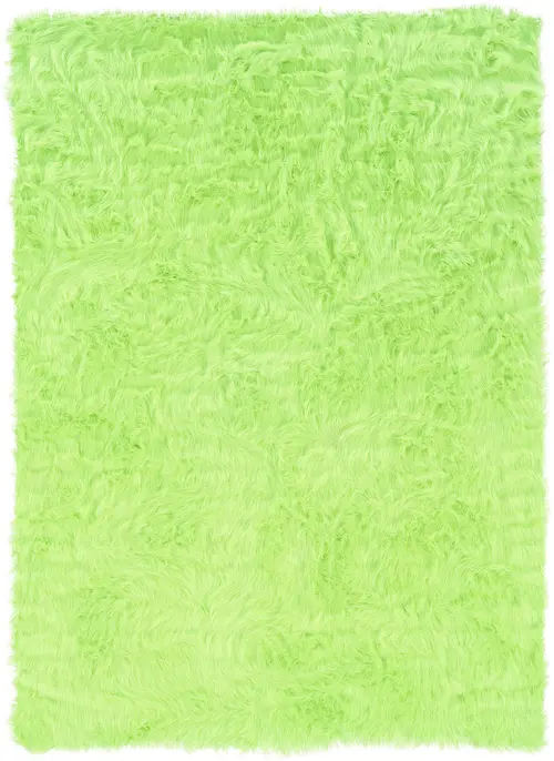 Linon Green Rug 4