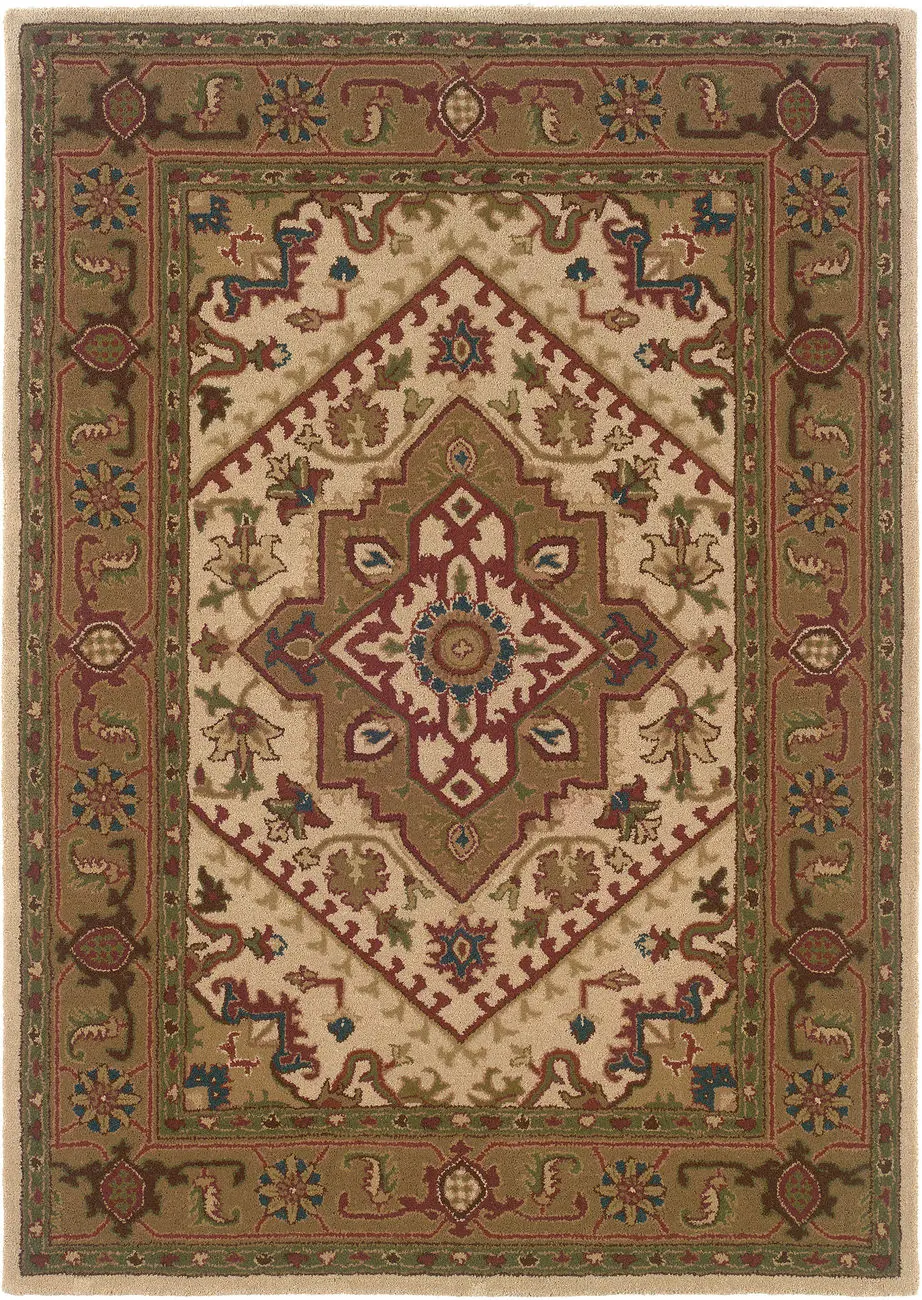 Linon Brown Traditional Rug 2