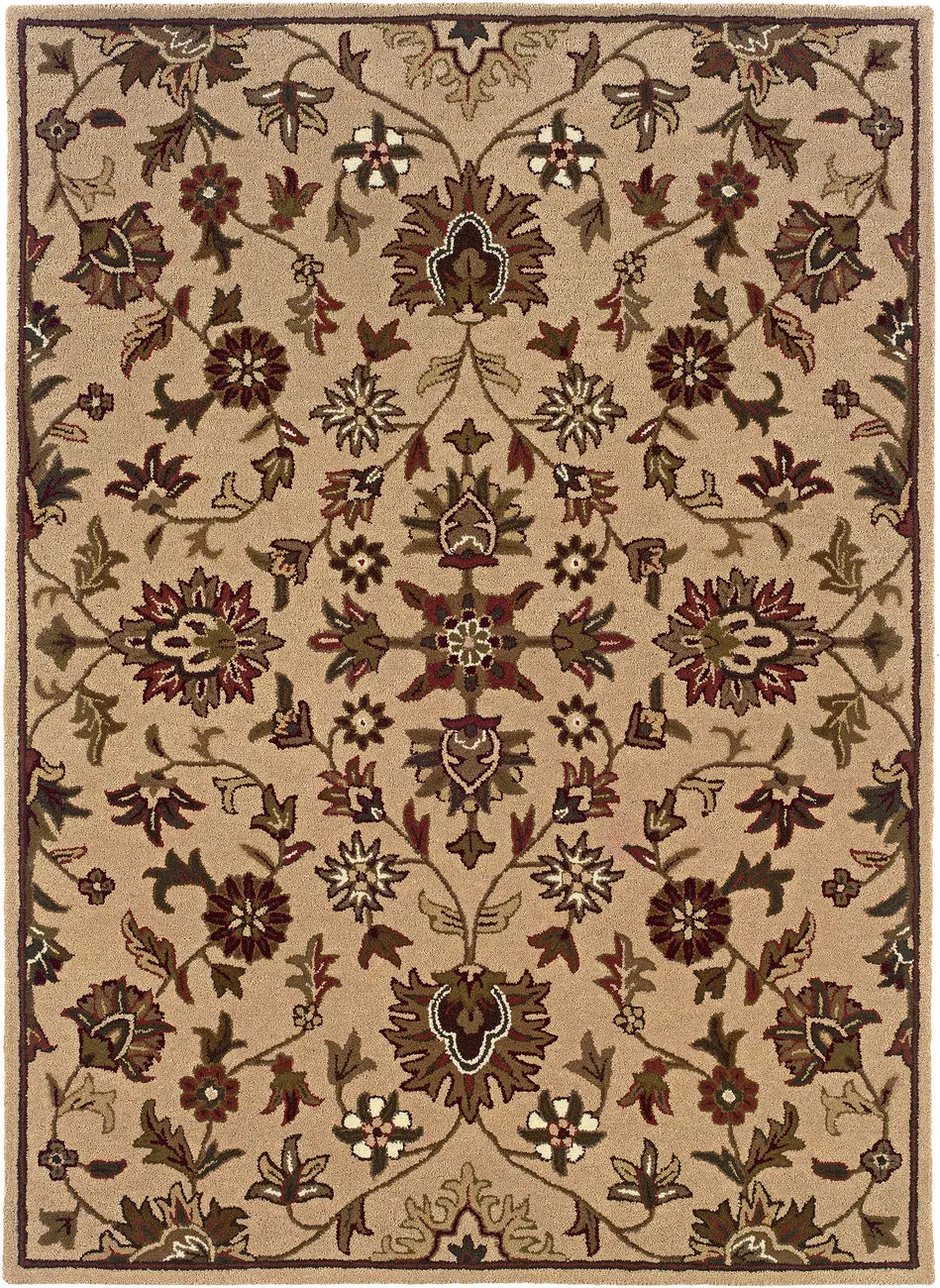 Linon Beige Traditional Rug