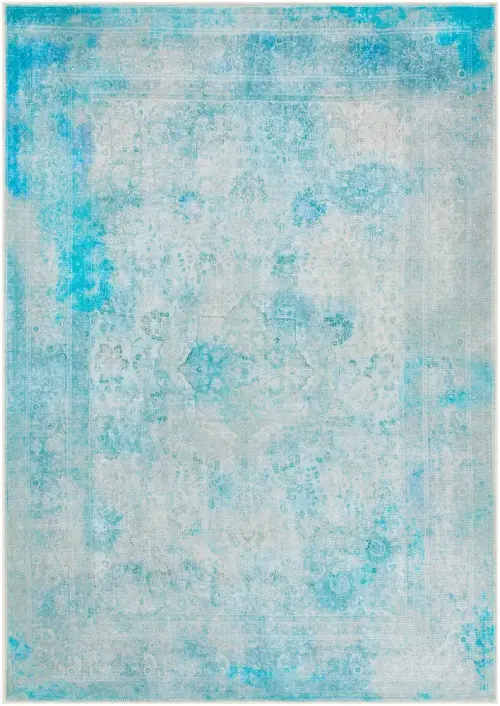 Surya Aaronnie AAI-2305 Sky Blue Synthetic Natural Fiber Rug
