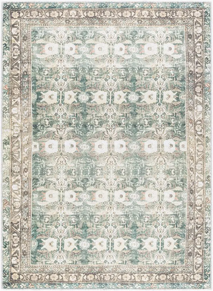 Amelie AML-2396 green Rug