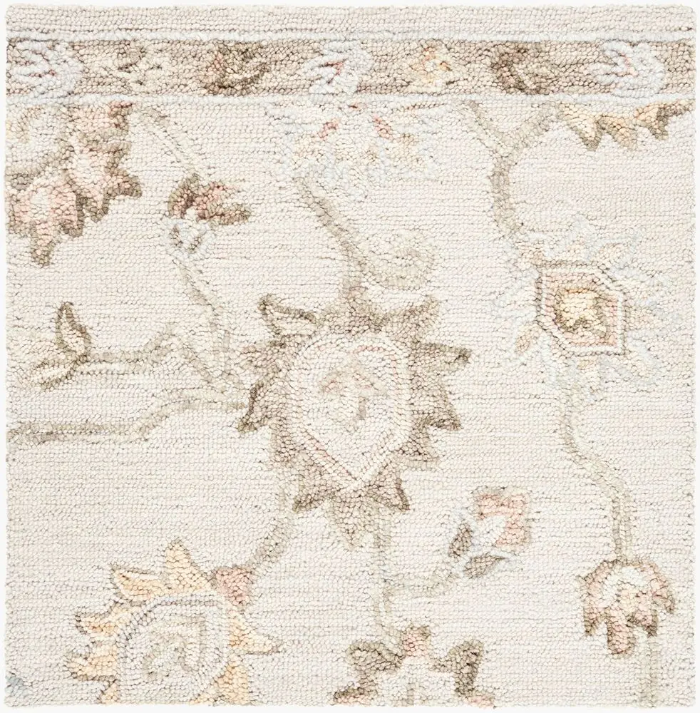 Arnold AOD-2305 beige Rug