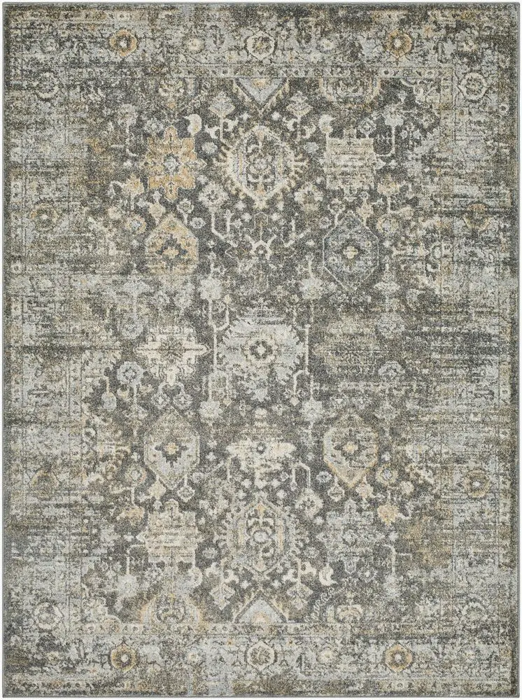Alpharetta APH-2318 black Rug