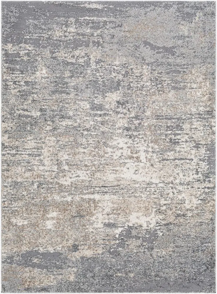 Andorra ARD-2306 gray Rug