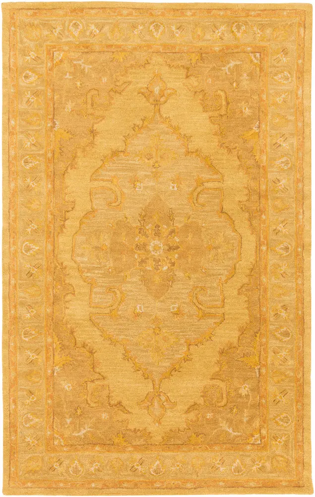 Middleton AWHR-2059 Mustard Traditional Bordered Rug