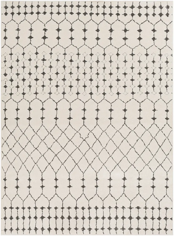 Aceri ACI-2312 Charcoal Patterned Abstract Rug