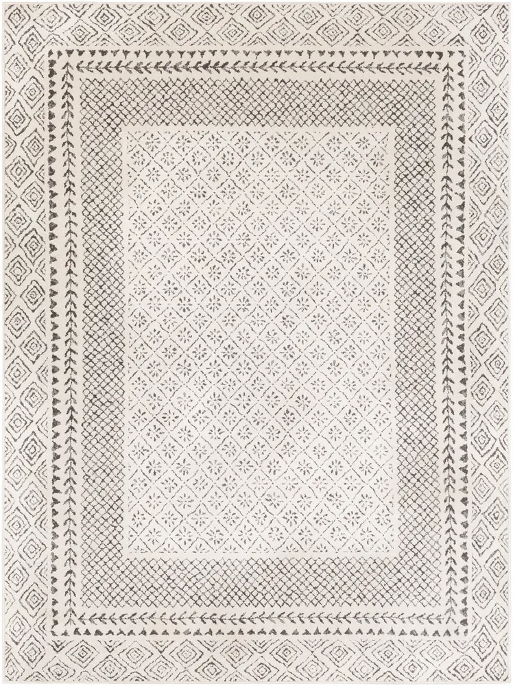 Aceri ACI-2321 Medium Gray Transitional Bordered Rug
