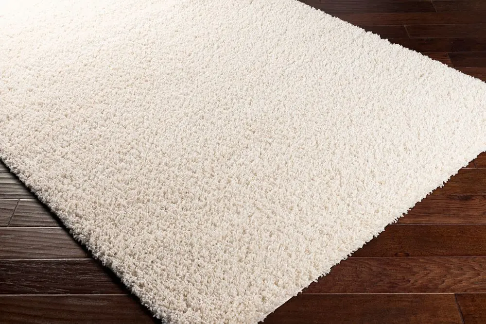 Bliss Shag BLI-2315 beige Rug