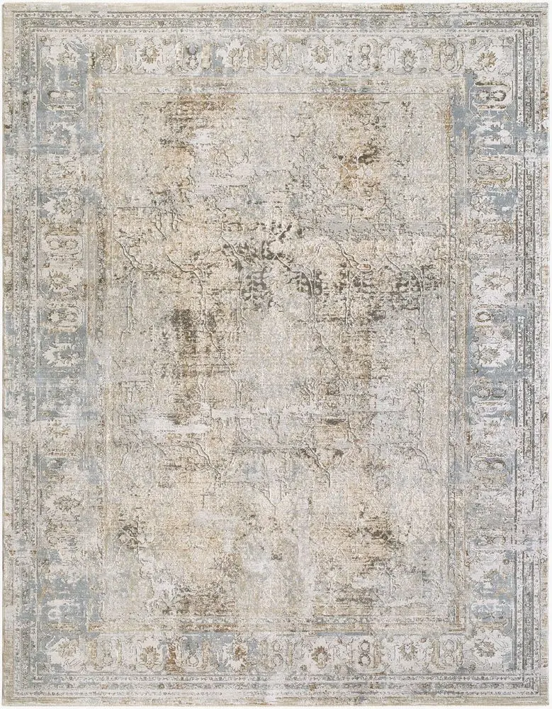 Brunswick BWK-2340 beige Rug