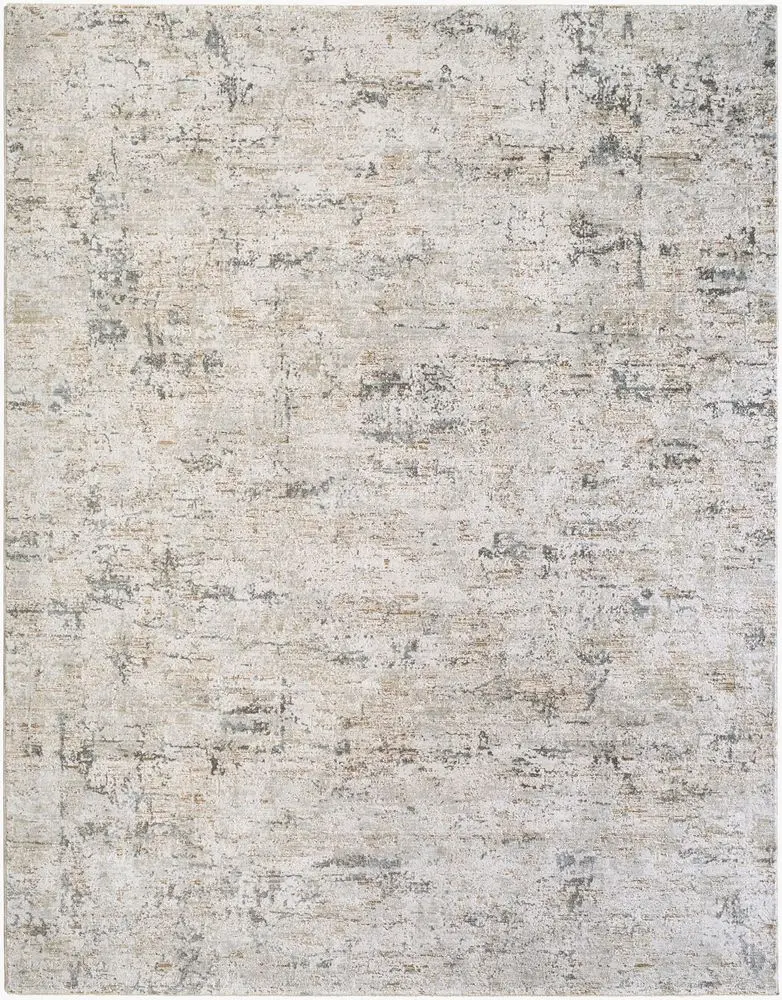 Brunswick BWK-2350 beige Rug