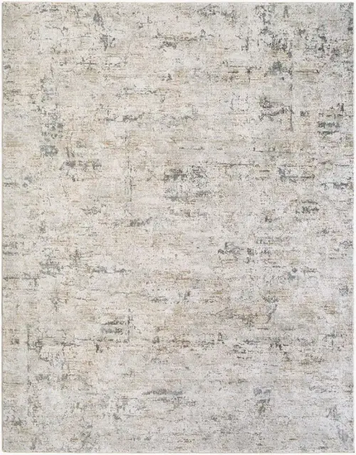 Surya Brunswick BWK-2350 beige Rug