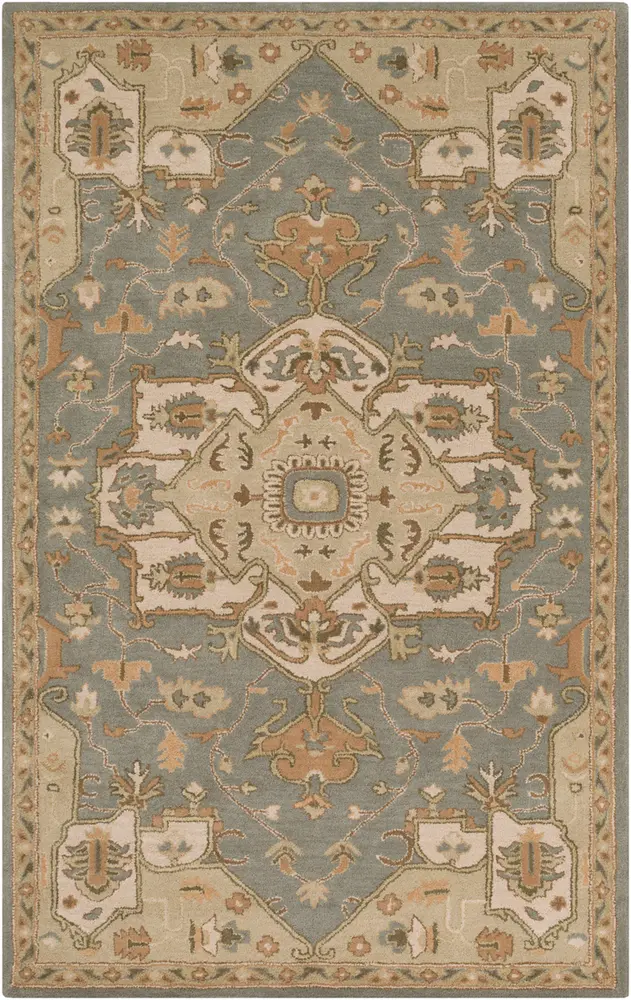 Caesar CAE-1144 Medium Gray Bordered Traditional Rug