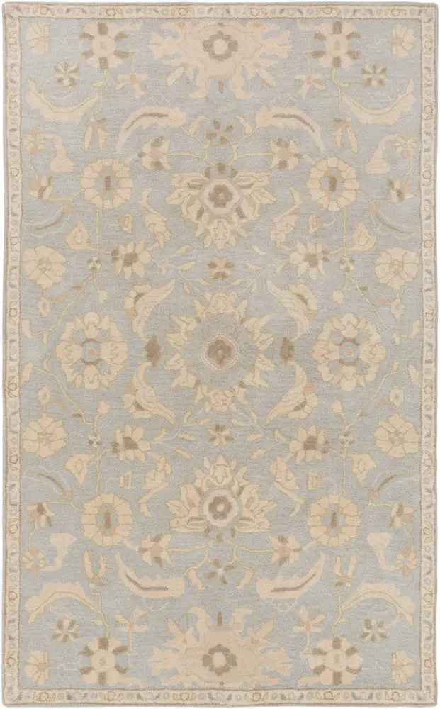 Caesar CAE-1162 Light Gray Bordered Wool Rug