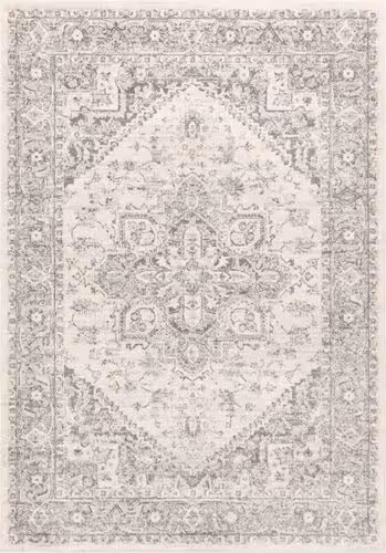 Surya Adrastephae ADA-2312 Light Gray Transitional Bordered Rug Product Image