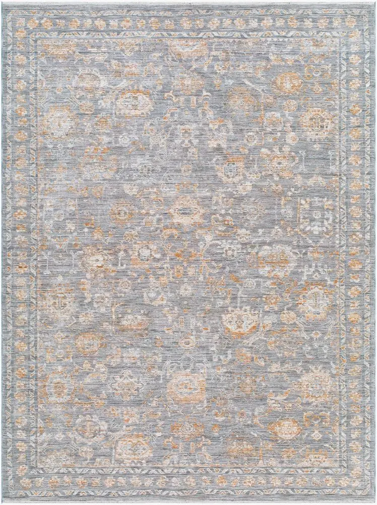 Chapel Hill CHP-2302 gray Rug