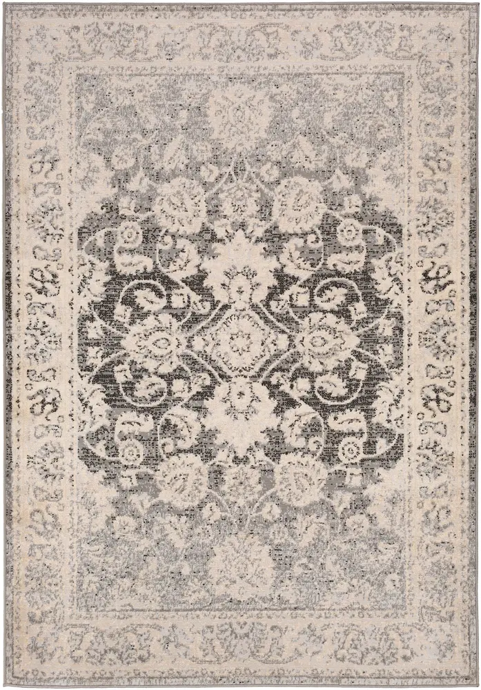 Adria ADI-2308 Charcoal Transitional Bordered Rug