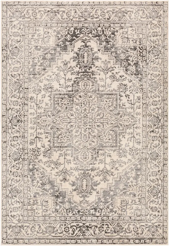 Adria ADI-2313 Charcoal Bordered Transitional Rug