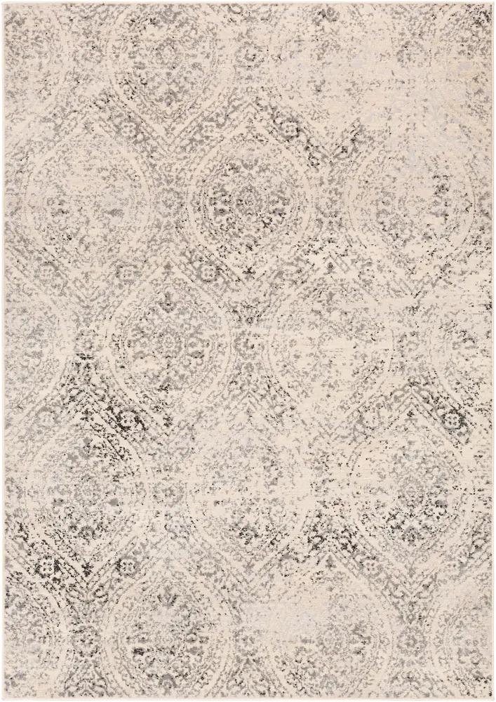Adria ADI-2318 Charcoal Transitional Patterned Rug