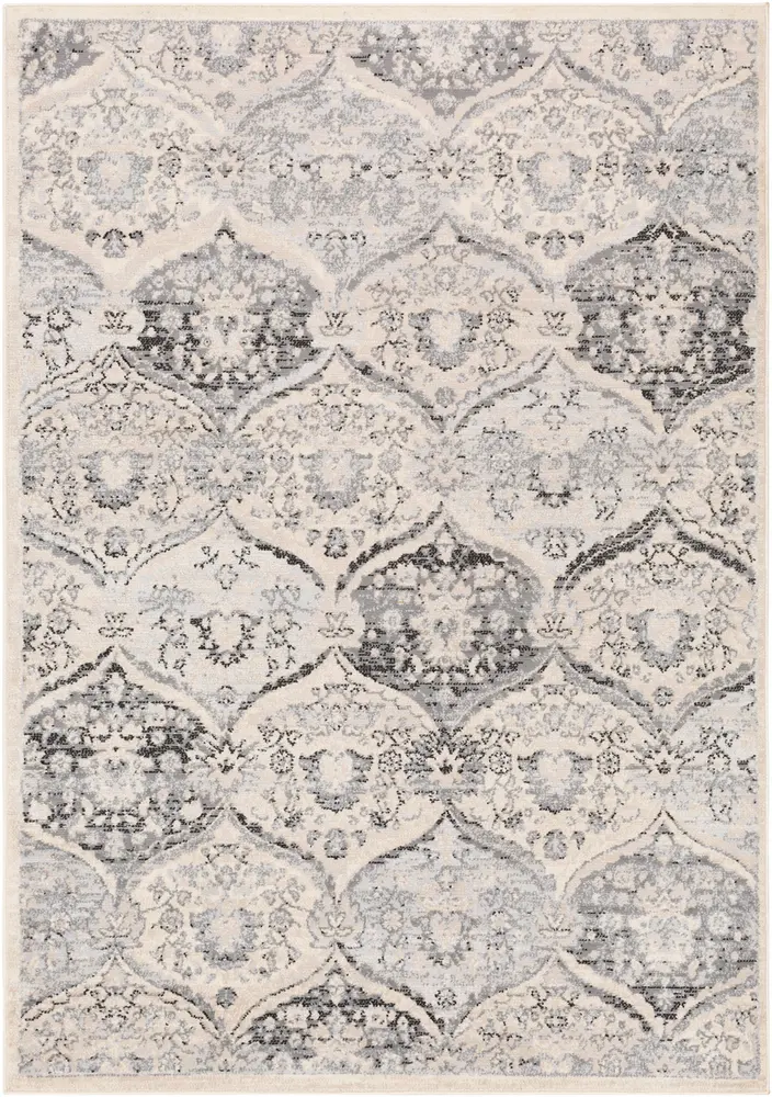 Modern Loom Adria ADI-2324 Charcoal Synthetic Transitional Rug