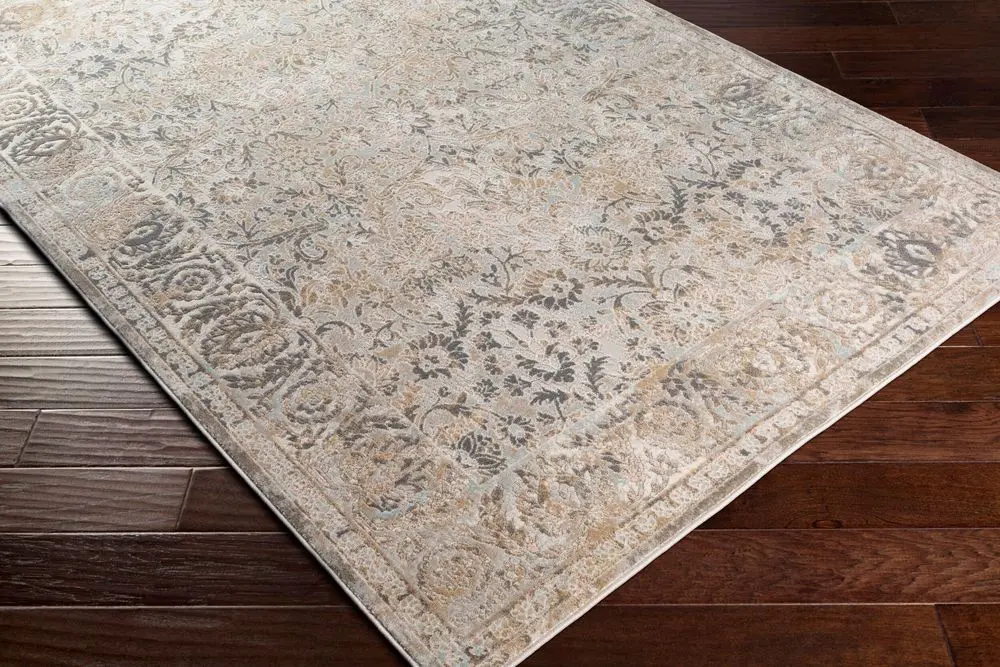 Dryden DDN-2310 beige Rug