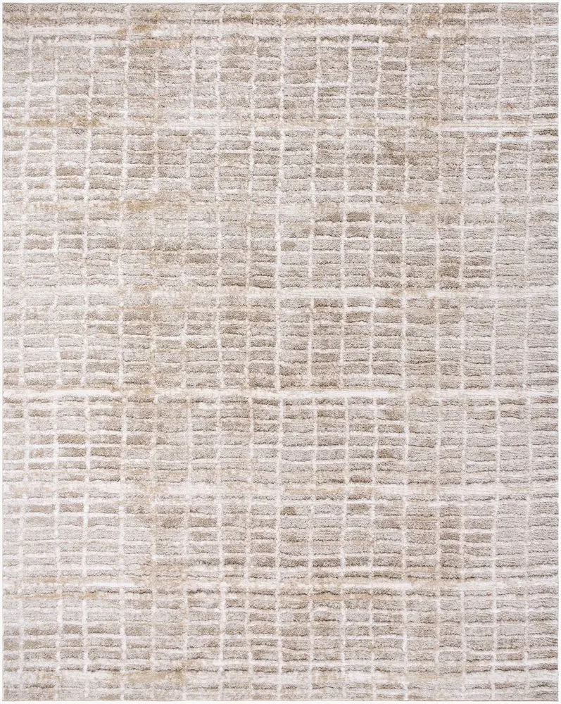 Delight Shag DEL-2305 beige Rug