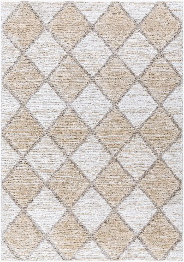 Delight Shag DEL-2306 beige Rug
