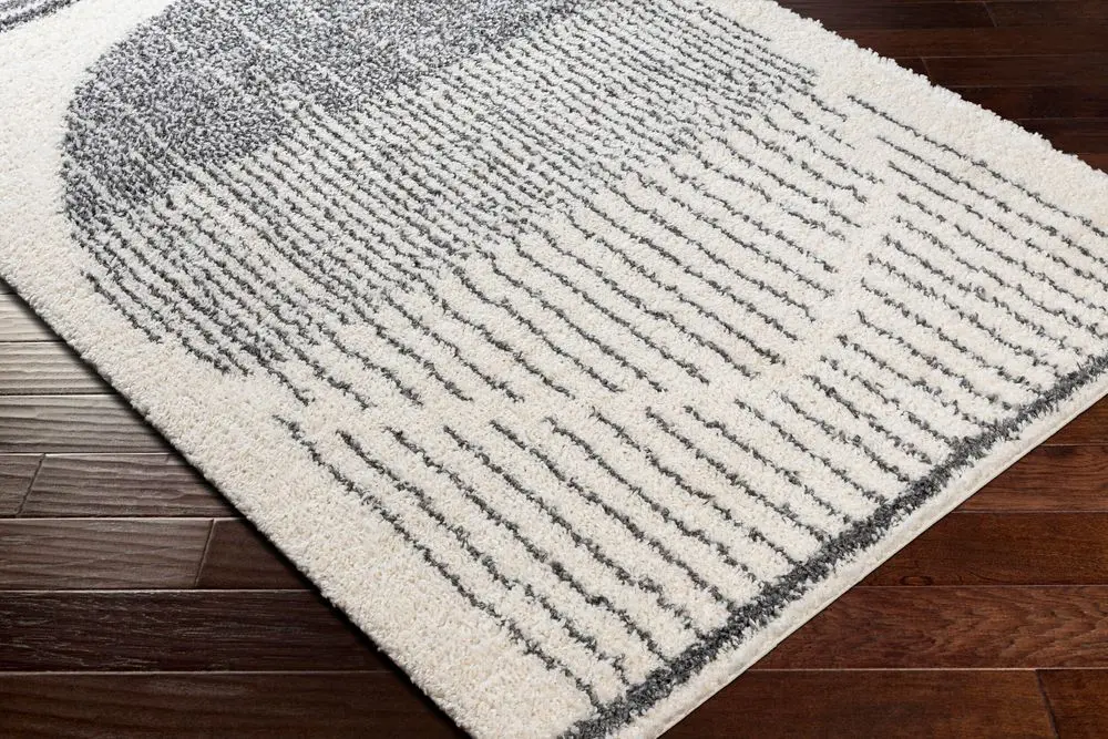Deluxe Shag DXS-2317 beige Rug
