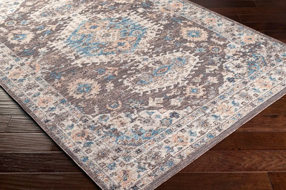 Daytona Beach DYT-2305 brown Rug