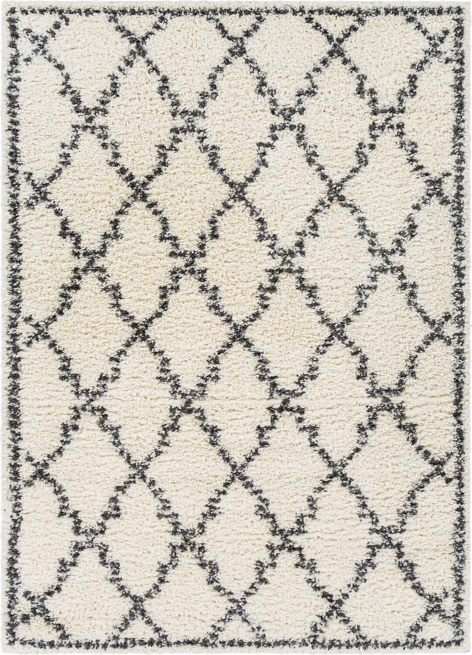 Modern Loom Afragusa AFA-2306 Cream Hand Woven Synthetic Rug