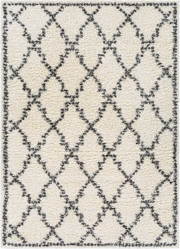 Modern Loom Afragusa AFA-2306 Cream Hand Woven Synthetic Rug Product Image
