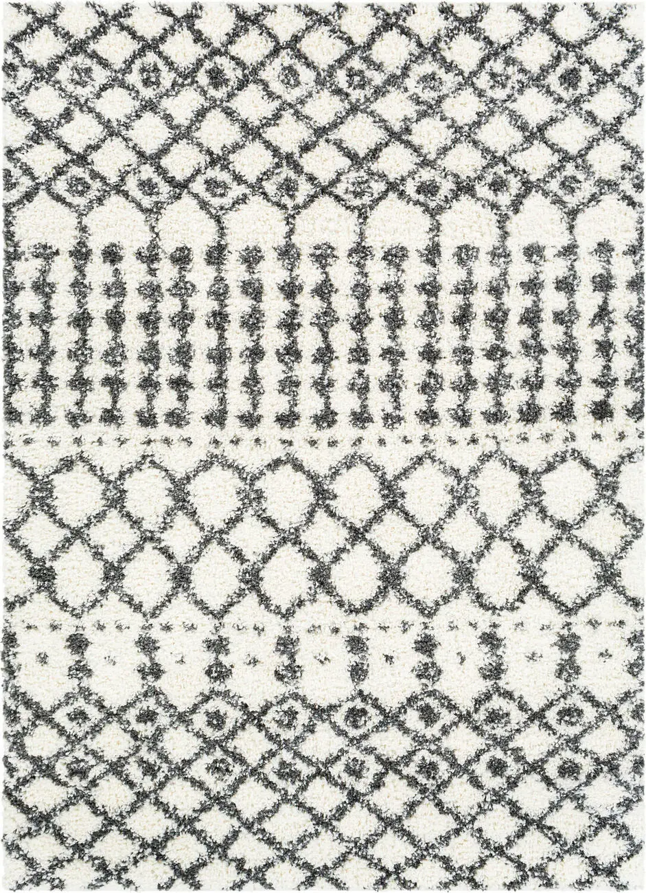 Modern Loom Afragusa AFA-2314 Cream Hand Woven Synthetic Rug