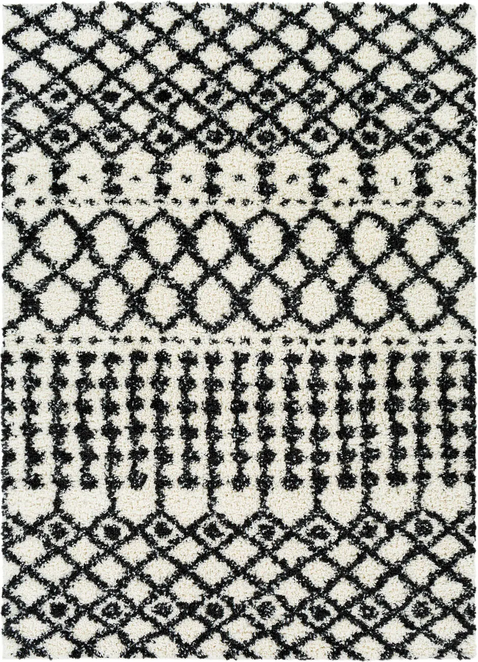 Modern Loom Afragusa AFA-2316 Black Hand Woven Synthetic Rug