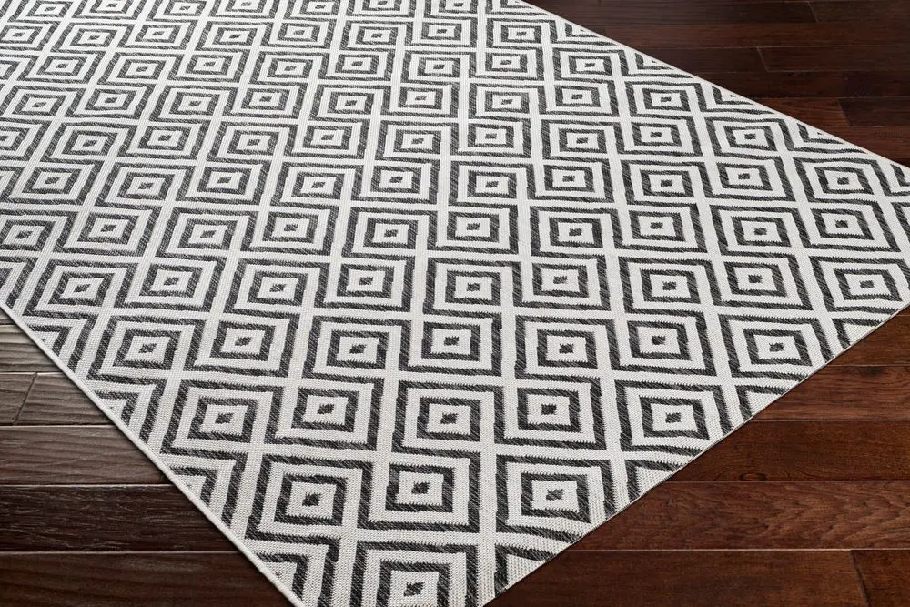 Eagean EAG-2369 black Rug