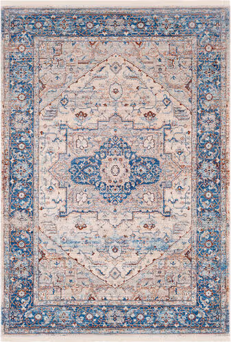 Surya Ephesians EPC-2312 Sky Blue Traditional Bordered Rug Product Image