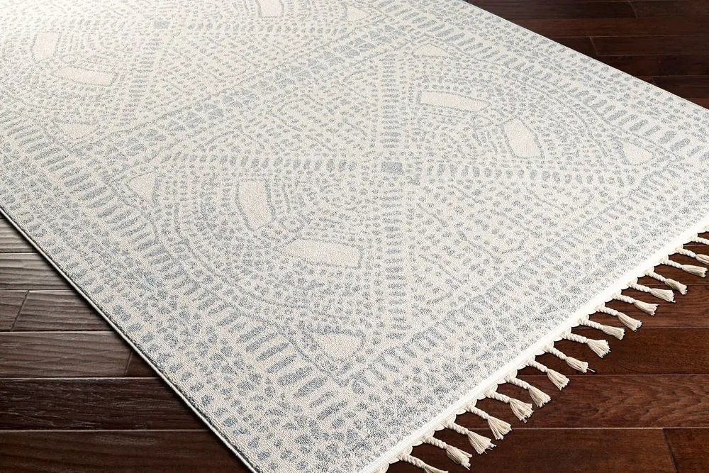 Euphoria ERP-2307 gray Rug