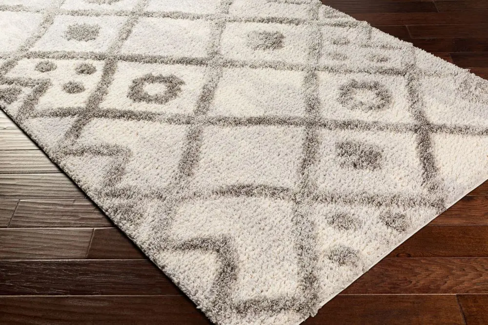 Everton ETN-2305 gray Rug