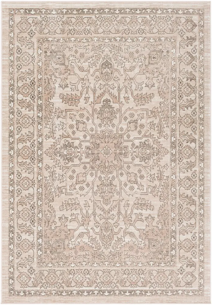 Rafetus ETS-2337 Charcoal Traditional Bordered Rug
