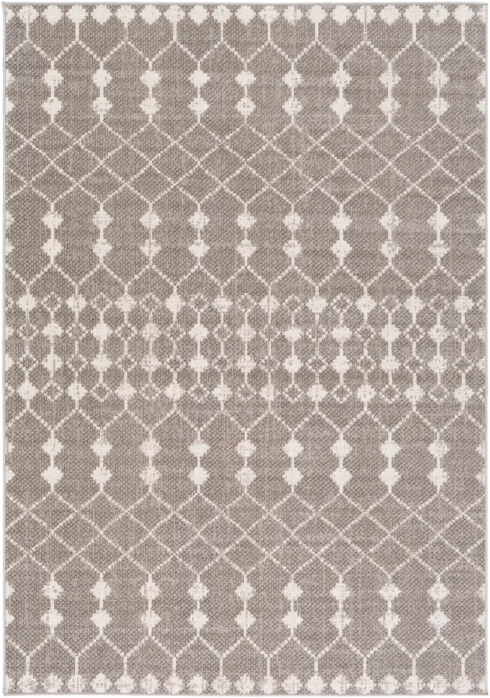 Rafetus ETS-2355 Light Gray Abstract Synthetic Rug
