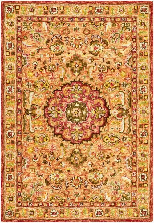 Surya Fairfax FFX-2307 orange Rug