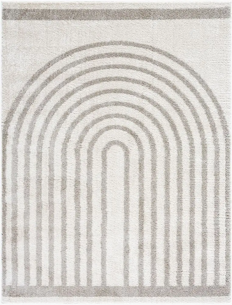 Fossay Shag FSG-2313 beige Rug