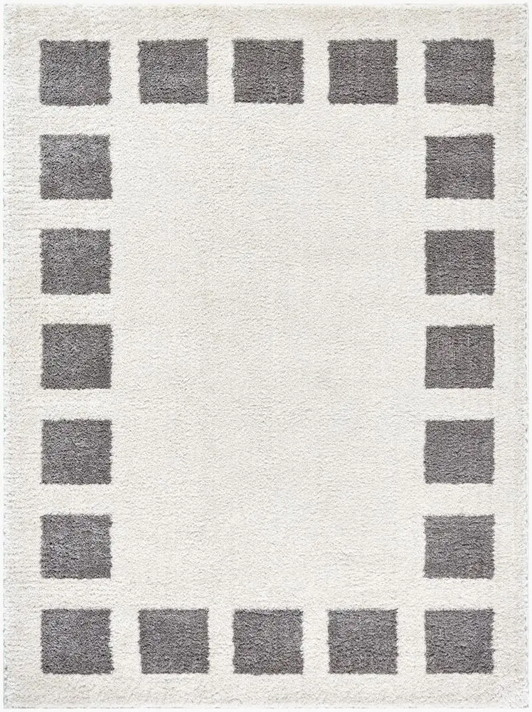 Fossay Shag FSG-2316 beige Rug