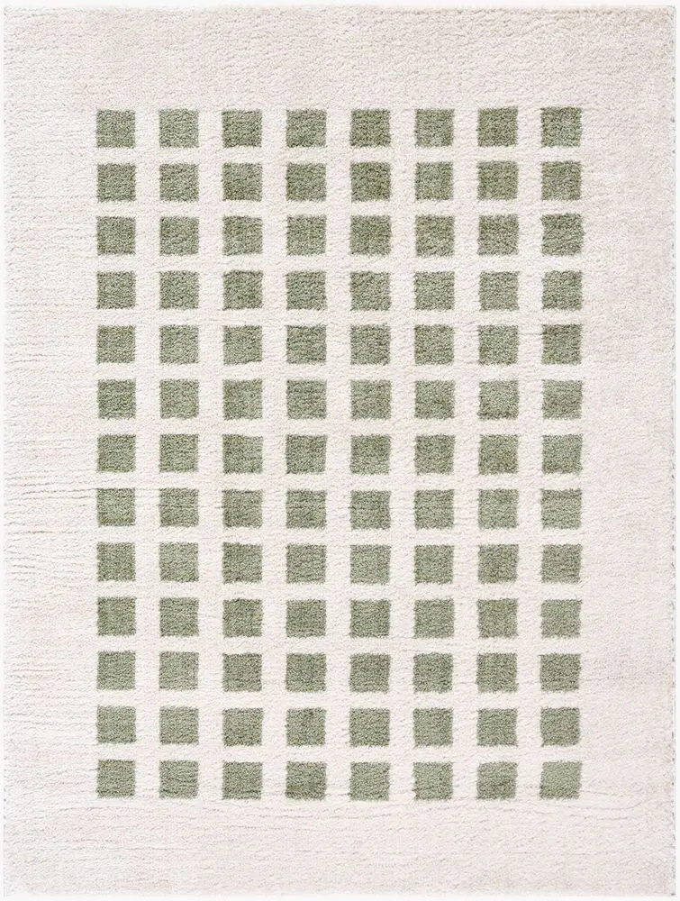 Fossay Shag FSG-2320 beige Rug