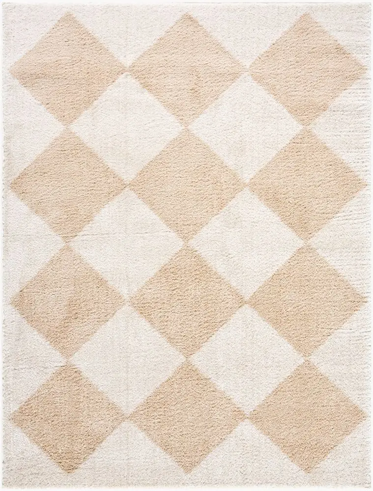 Fossay Shag FSG-2324 beige Rug
