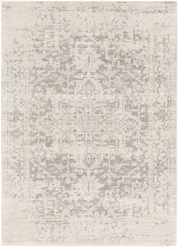 Alchir ALR-1024 Charcoal Transitional Synthetic Rug