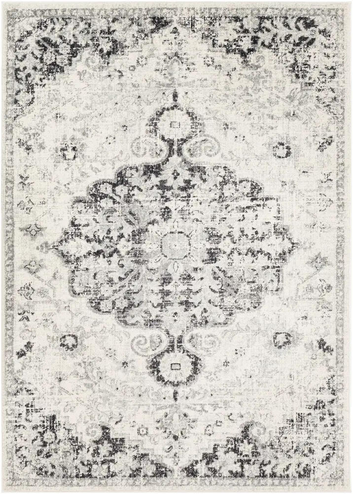 Alchir ALR-1061 Beige Traditional Transitional Rug