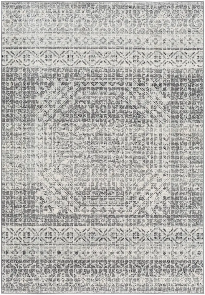 Alchir ALR-1080 Light Gray Transitional Synthetic Rug